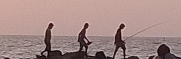 evolution.jpg